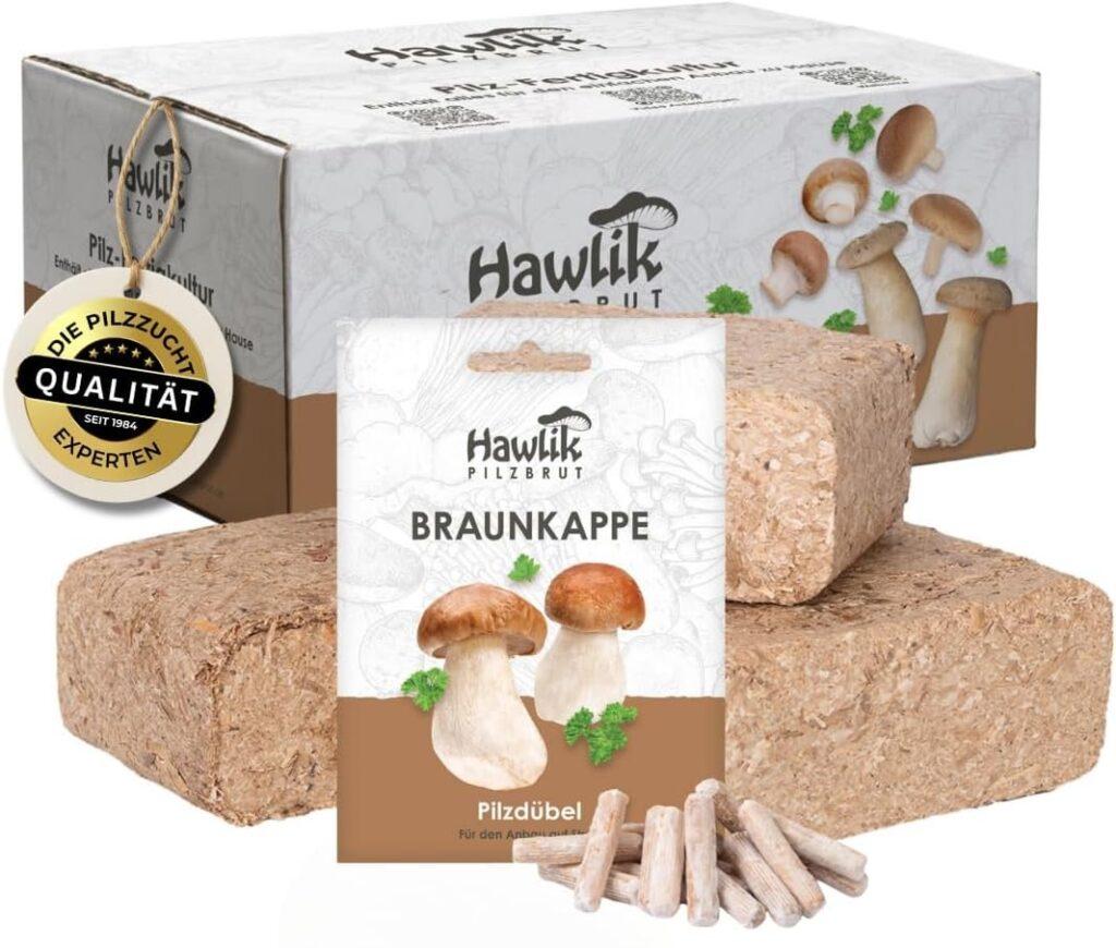 Zu sehen ist das AZ-Produktbild zu folgendem Produkt: Hawlik Pilzbrut - Braunkappen Waldgarten Pilzzucht Kultur