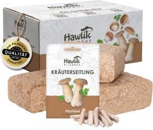 Zu sehen ist das AZ-Produktbild zu folgendem Produkt: Hawlik Pilzbrut – Kräuterseitling Pilzbeet-Set